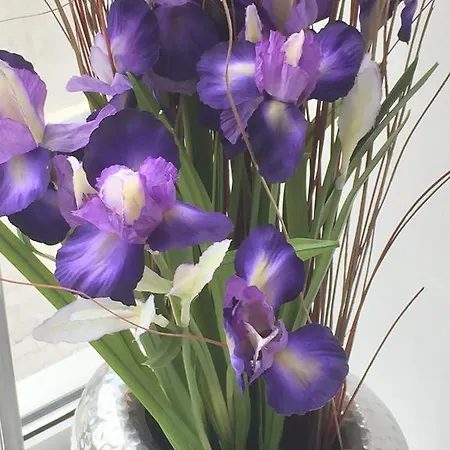 Iris Apartment Seget Vranjica